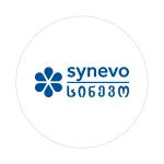 Optimisation SEO 6 საიტის დამზადება — INFINITY-ს სერვისი